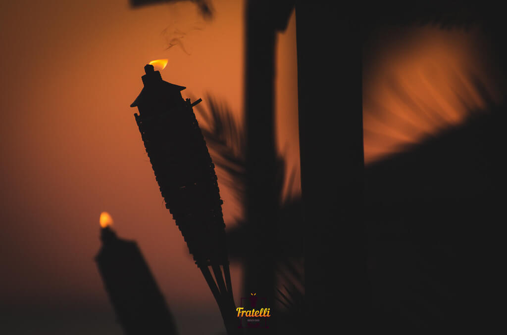 dark photo with sunset light of two heifers with fire and smoke, and a palm tree behind a beach bar